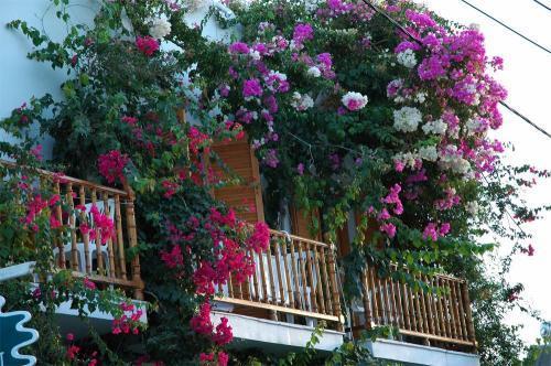 Hotel Arian Páros