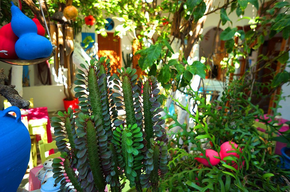 Hotel Arian Páros